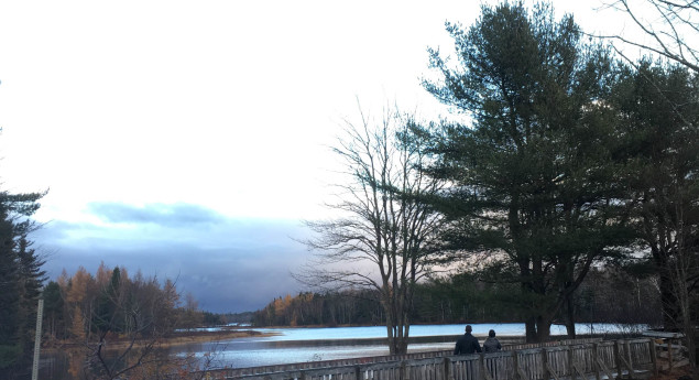 Irishtown Nature Park