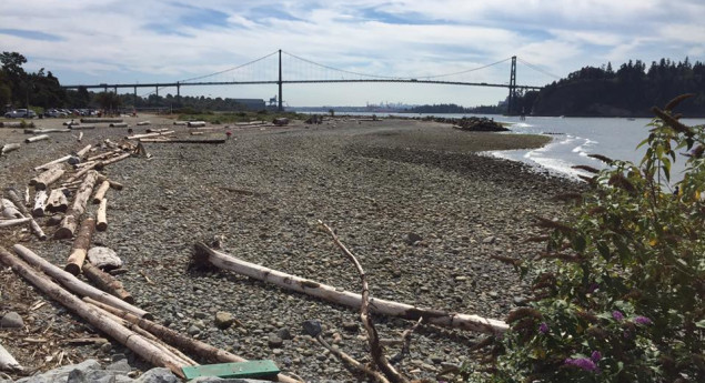 Ambleside Beach and Park