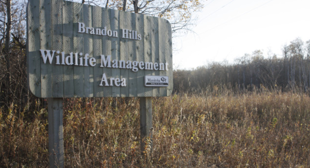 Brandon Hills Wildlife Management Area Trailhead