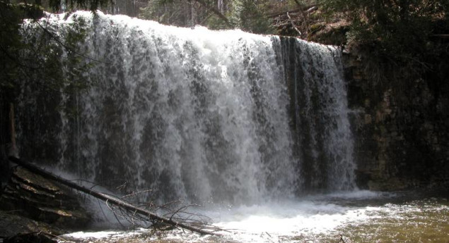 Hoggs Water Falls