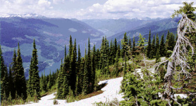 Mount Revelstoke National Park trails