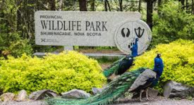 Shubenacadie Wildlife Park