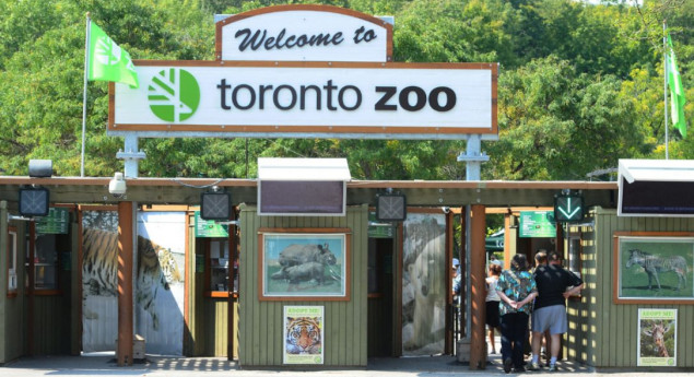 Toronto Zoo