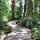 Pacific Spirit Regional Park