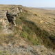 Head-Smashed-In Buffalo Jump