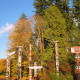 Stanley Park (Greenspace and Totem Poles)