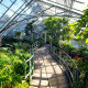 Allan Gardens Conservatory