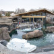 Edmonton Valley Zoo