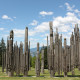 Burnaby Mountain Conservation Area