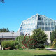 Butterfly Conservatory