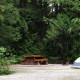 Mt. Fernie Provincial Park