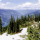 Mount Revelstoke National Park trails