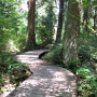 Pacific Spirit Regional Park