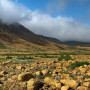 Gros Morne National Park