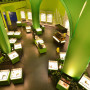 Montreal Insectarium