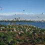 Tommy Thompson Park