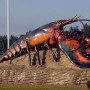 Shediac's Giant Lobster