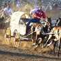 Calgary Stampede