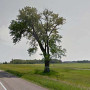 Half-Way Tree