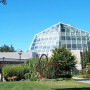 Butterfly Conservatory