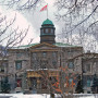 McGill University