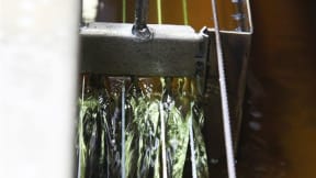 Systèmes de traitement thermique