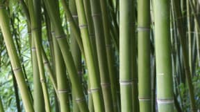 Chemical products and lubricants for carbon steel tubes processing