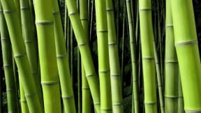 Chemical products for stainless steel tubes processing