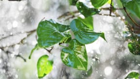 Prodotti chimici per componenti metallici in acciaio e acciaio inox