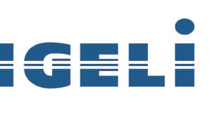 New site Angeli  srl