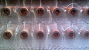 Lubrificanti solubili per la trafilatura di rame e leghe di rame