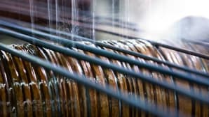 Steel wire for spokes