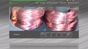 Nouvelle présence en ligne pour Trafilerie di San Giovanni 