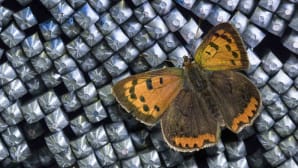 The ESG journey continues: a look at Trafilix's new sustainability report