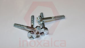 Anti-unscrewing and anti-tampering security screws, Inoxalca's solutions