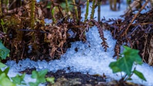 Ropes and cables for anti-hail systems by Blutref: guaranteed protection and reliability