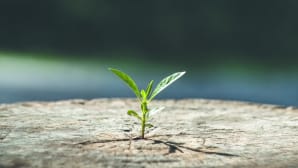 Experience, Solutions und Leistung für die Drahtziehindustrie