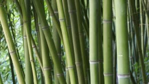 Chemical products and lubricants for carbon steel tubes processing