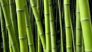 Chemical products for stainless steel tubes processing