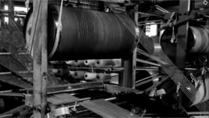 A dynamic and successful 2025 for Giorinastri