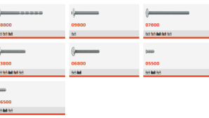 Dome and truss head screw and EURO screws