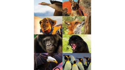 Il 2020 tra natura e artificio - il nuovo calendario Atrebor