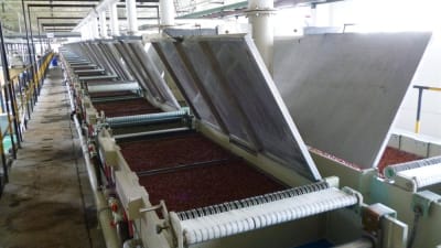 GCR Eurodraw - Planta de alambre de corte ReneSola se comisionó exitosamente en China