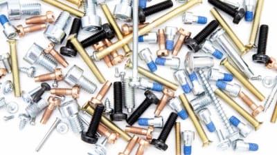 Viteria Fusani: after the achievements of 2024, a new year of success