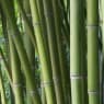 Chemical products and lubricants for carbon steel tubes processing