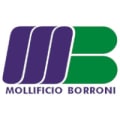 MOLLIFICIO BORRONI srl