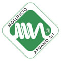MOLLIFICIO APUANO snc