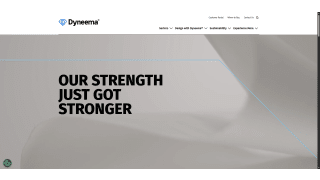DSM Dyneema BV