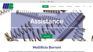MOLLIFICIO BORRONI srl