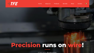 T.F.E.   S.r.l.